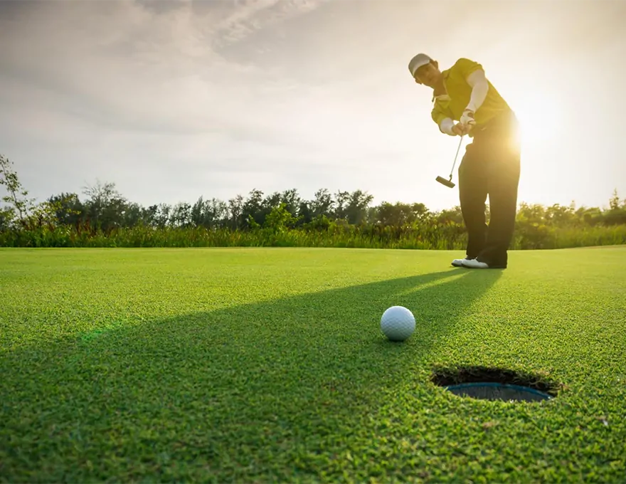 golf-zarapicos